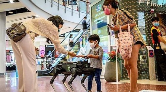 Таиландлик харидорларга робот-ит хамроҳлик қилмоқда.