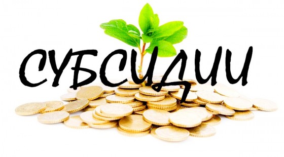 Давлат томонидан субсидия ажратиш тартиби