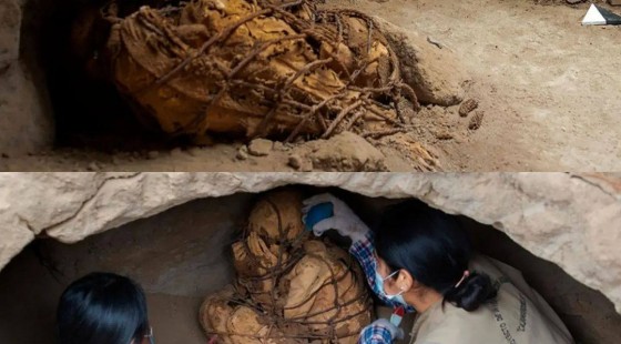 Сирли мумия Перудаги қабрдан қўллари ёпиқ ҳолда топилган